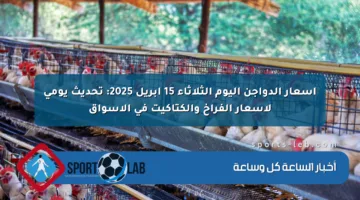 أسعار الدواجن اليوم الثلاثاء 15 أبريل 2025: تحديث يومي لأسعار الفراخ والكتاكيت في الأسواق